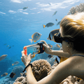 Sublue H1+ Smart Underwater Phone Housing